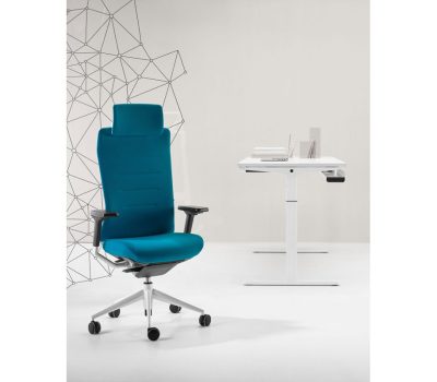 Tenk-Flex-Ergonomic-Chair-with-Headrest.jpg