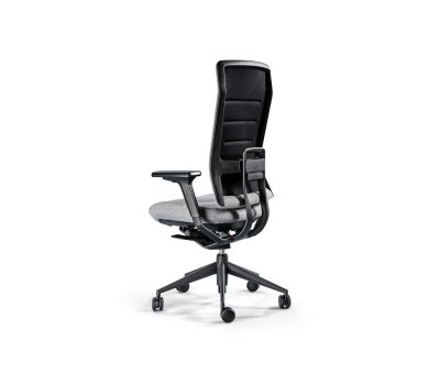Tenk-Flex-Fabric-Ergonomic-Chair-Back.jpg